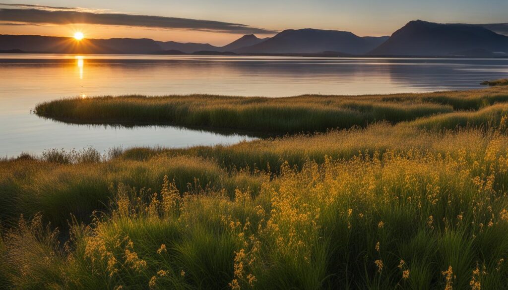 Ringkobing Fjord