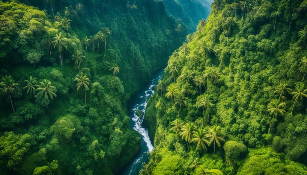 Ayung River gorge Ayung River gorge